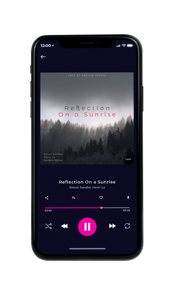Tablet view of Premade Pop Album Cover - Dove Gray #20 | AlbumArtZone*