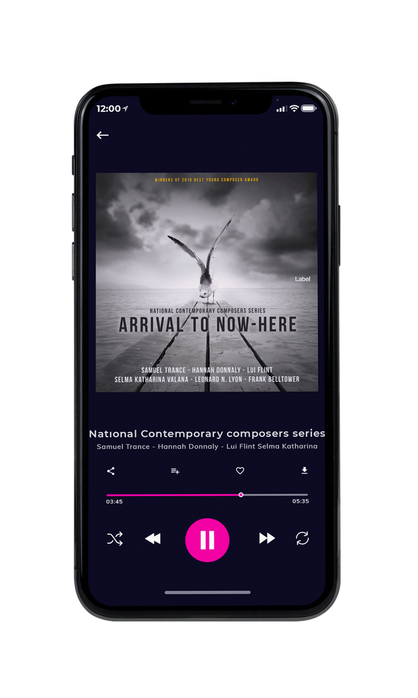 Tablet view of Premade Rock,Punk & Alternative Book Cover - Gray #74 | AlbumArtZone*