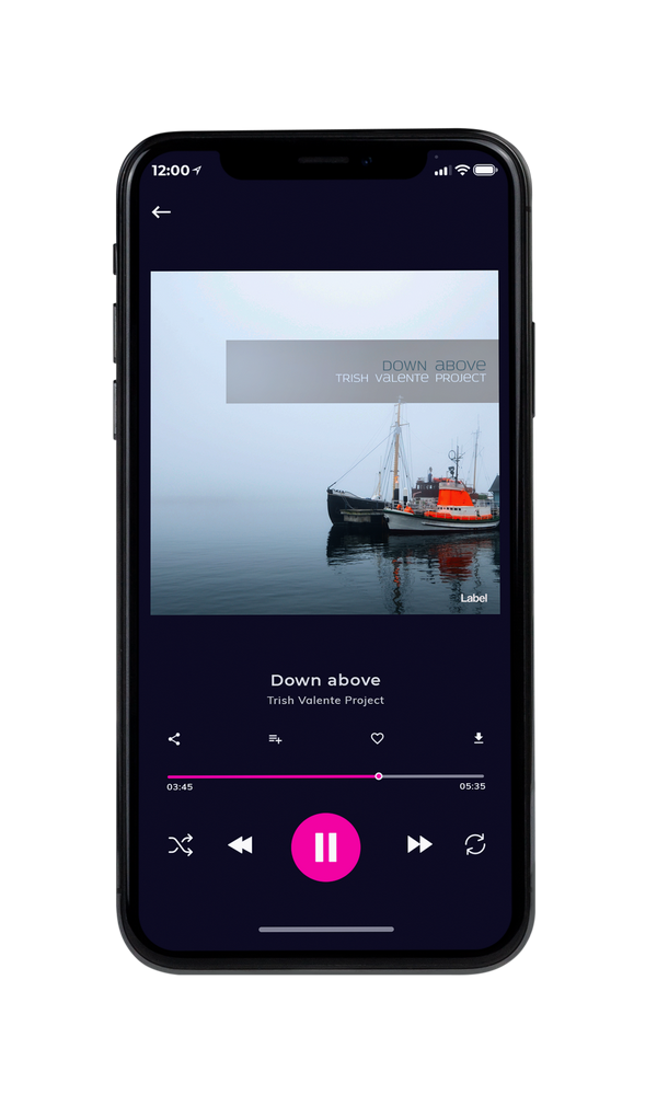 Tablet view of Premade Country & Acoustic Album Cover - Geyser #132 | AlbumArtZone*