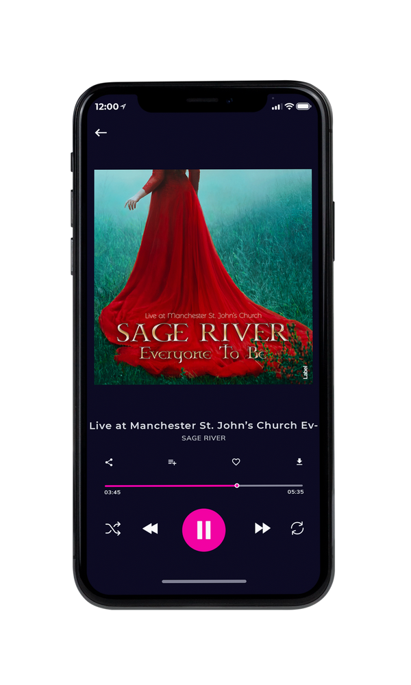 Tablet view of Premade Indie & Folk Music Album Cover - Buccaneer #152 | AlbumArtZone*