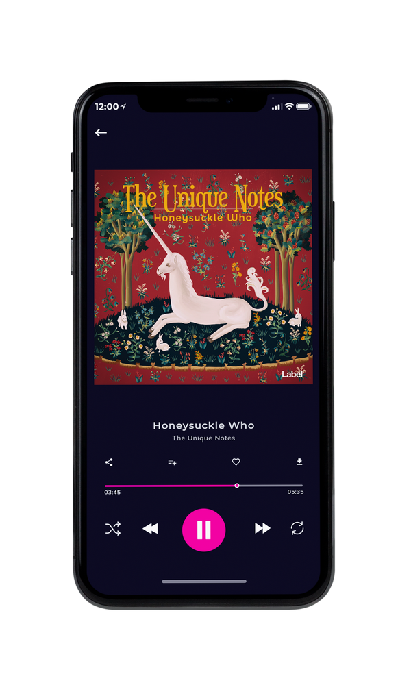 Tablet view of Premade Indie & Folk Music Album Cover - El Salva #195 | AlbumArtZone*