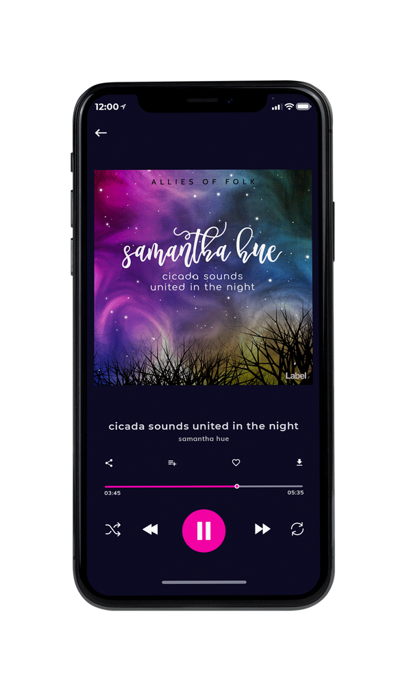 Tablet view of Premade Pop Album Cover - Mulled Wine #230 | AlbumArtZone*
