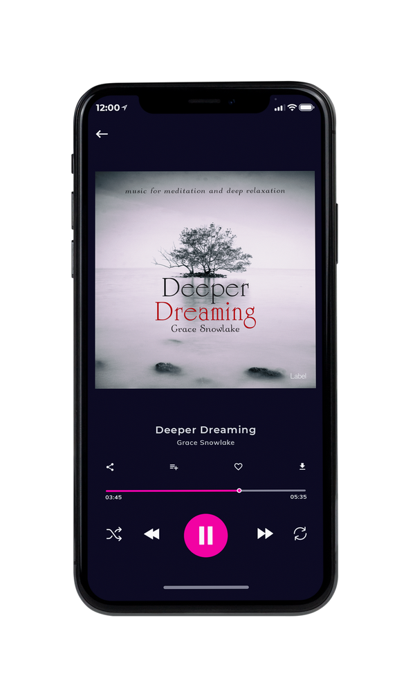Tablet view of Premade Pop Album Cover - Pale Slate #264 | AlbumArtZone*