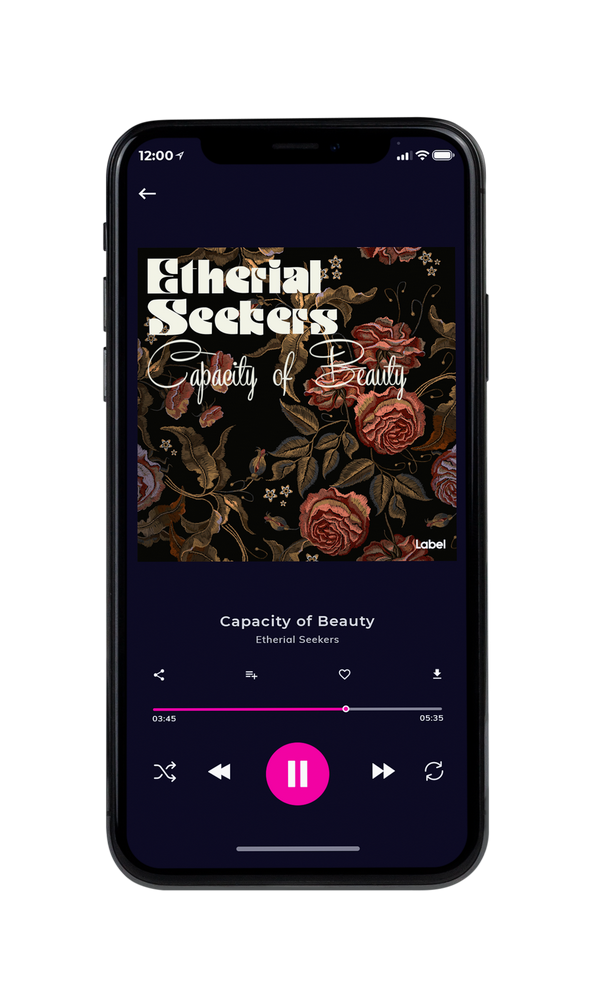 Tablet view of Premade Pop Album Cover - Akaroa #278 | AlbumArtZone*