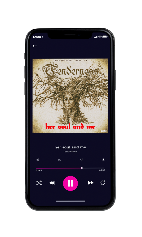 Tablet view of Premade Indie & Folk Music Album Cover - Bone #289 | AlbumArtZone*