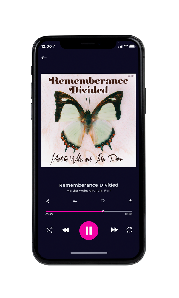 Tablet view of Premade Indie & Folk Music Album Cover - Bizarre #315 | AlbumArtZone*