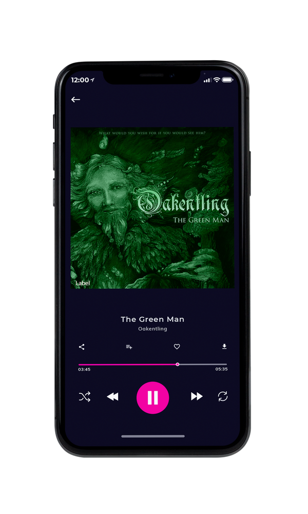 Tablet view of Premade Indie & Folk Music Album Cover - Palm Green #334 | AlbumArtZone*