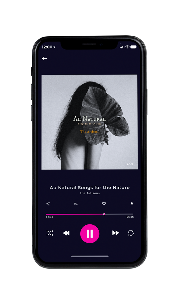 Tablet view of Premade Pop Album Cover - Mine Shaft #462 | AlbumArtZone*