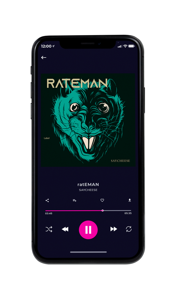 Tablet view of Premade Pop Album Cover - Palm Green #491 | AlbumArtZone*