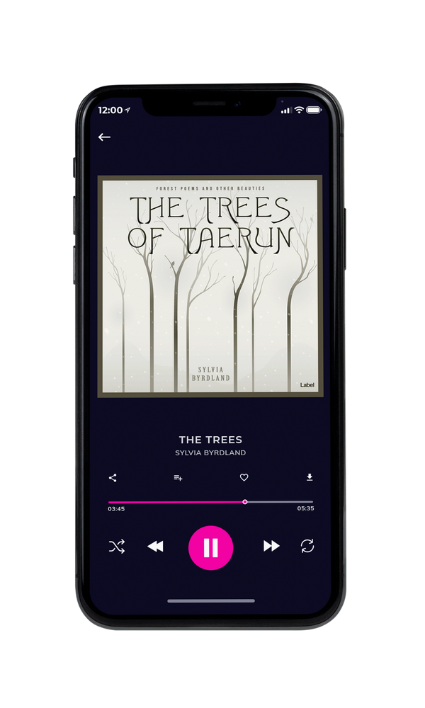 Tablet view of Premade Indie & Folk Music Album Cover - White Rock #502 | AlbumArtZone*