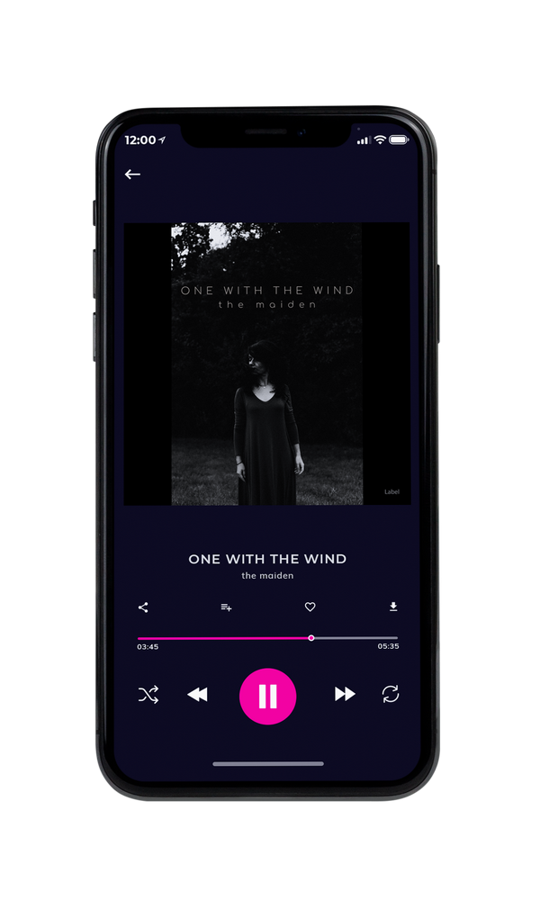 Tablet view of Premade Country & Acoustic Album Cover - Cod Gray #505 | AlbumArtZone*