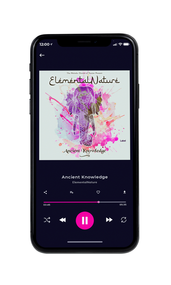 Tablet view of Premade Indie & Folk Music Album Cover - Westar #645 | AlbumArtZone*