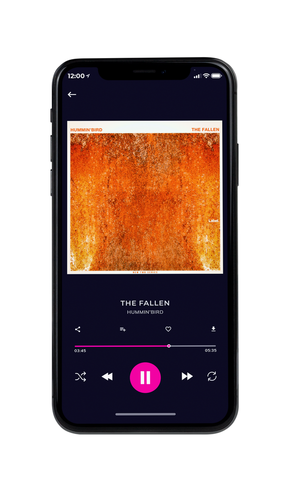 Tablet view of Premade Hip-hop, Rap & Trap Album Cover - Hot Cinnamon #673 | AlbumArtZone*