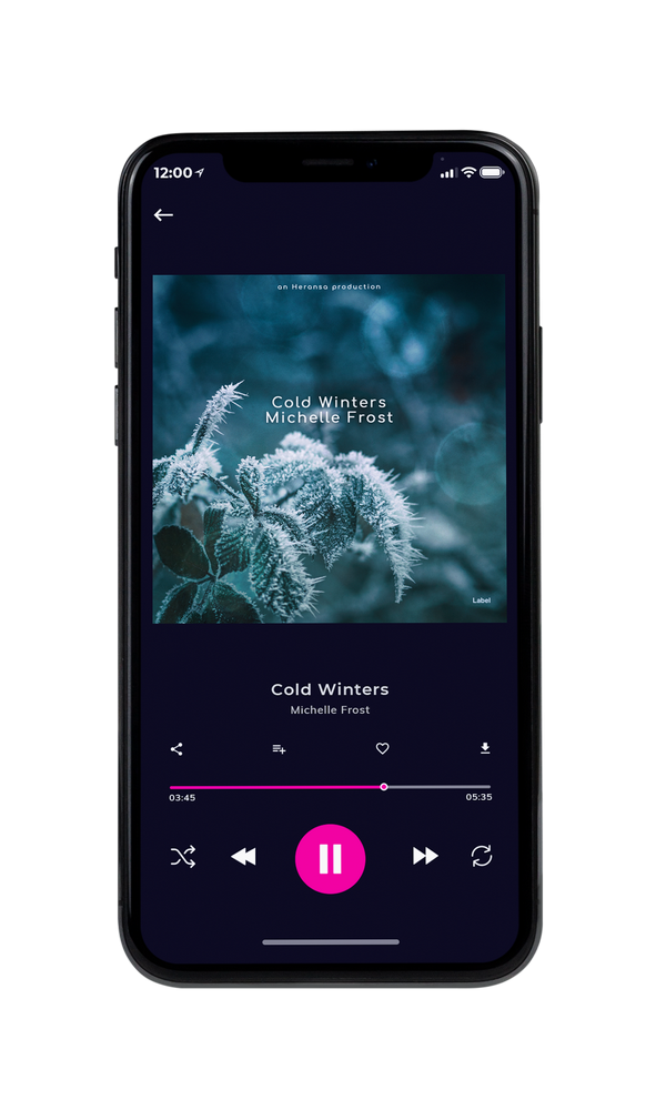 Tablet view of Premade Christmas Music Album Cover - Pickled Bluewood #694 | AlbumArtZone*