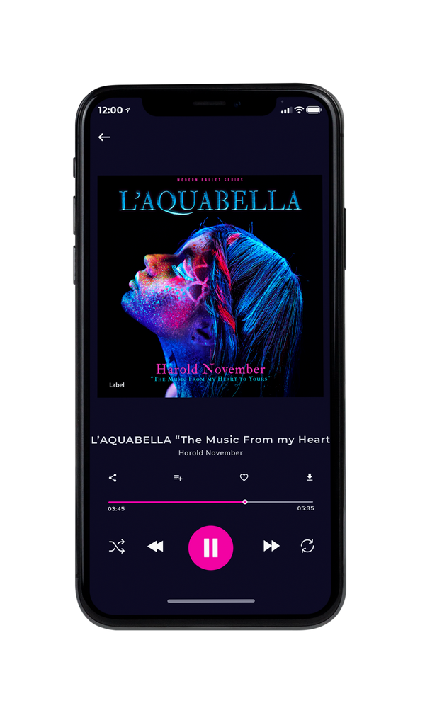 Tablet view of Premade Pop Album Cover - Ebony #748 | AlbumArtZone*