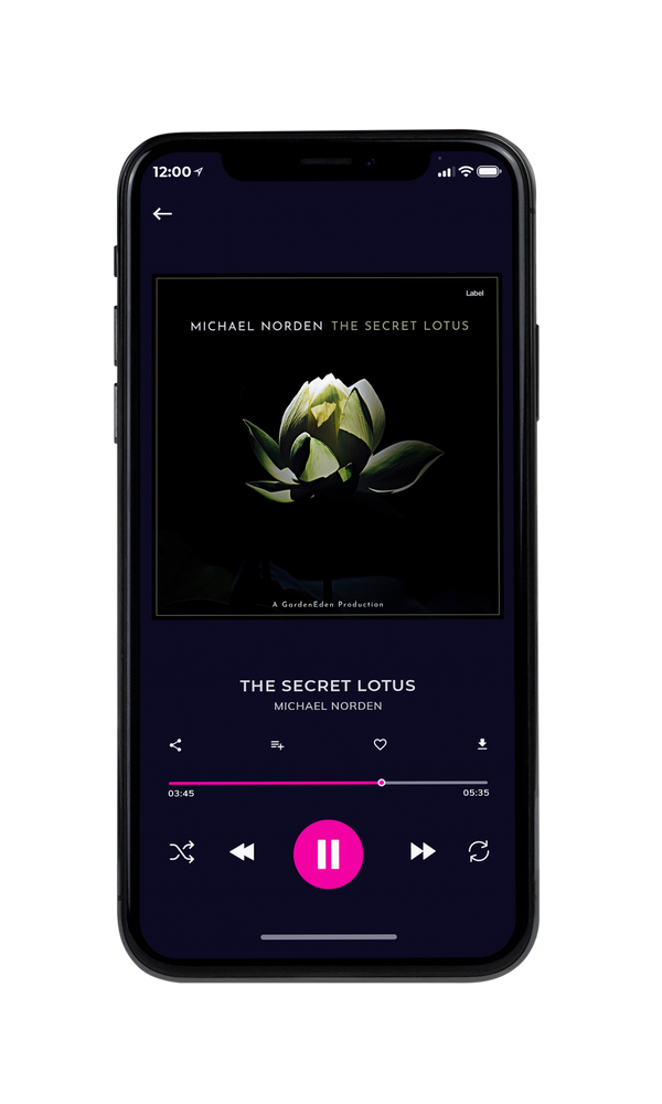 Tablet view of Premade EDM, House & Dub Album Cover - Black #764 | AlbumArtZone*