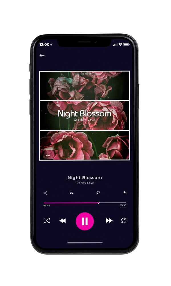 Tablet view of Premade Pop Album Cover - Oil #860 | AlbumArtZone*