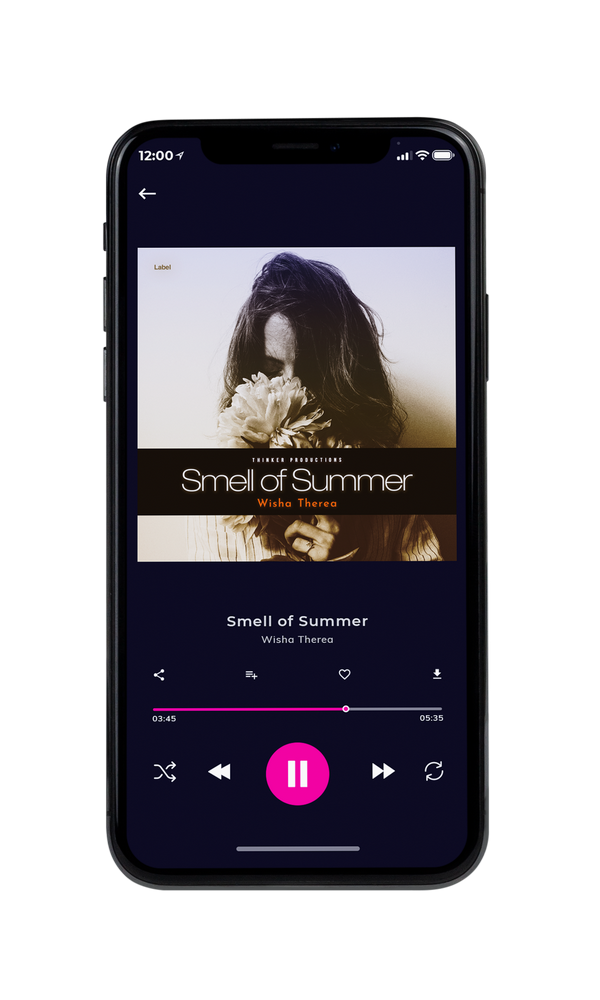 Tablet view of Premade Pop Album Cover - Oil #867 | AlbumArtZone*