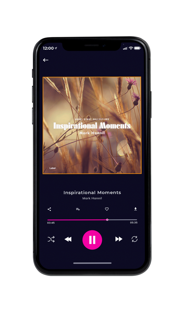Tablet view of Premade Electronica & Ambient Album Cover - Leather #875 | AlbumArtZone*