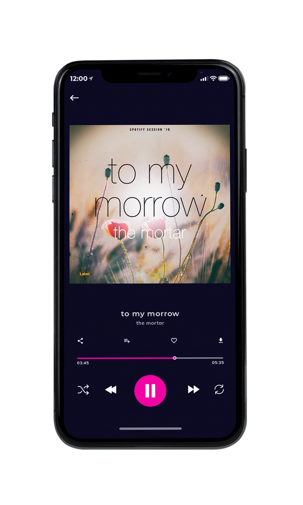 Tablet view of Premade Pop Album Cover - Akaroa #883 | AlbumArtZone*