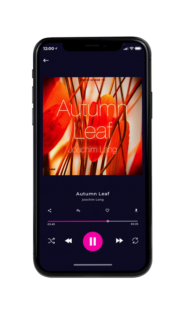 Tablet view of Premade Pop Album Cover - Tia Maria #884 | AlbumArtZone*
