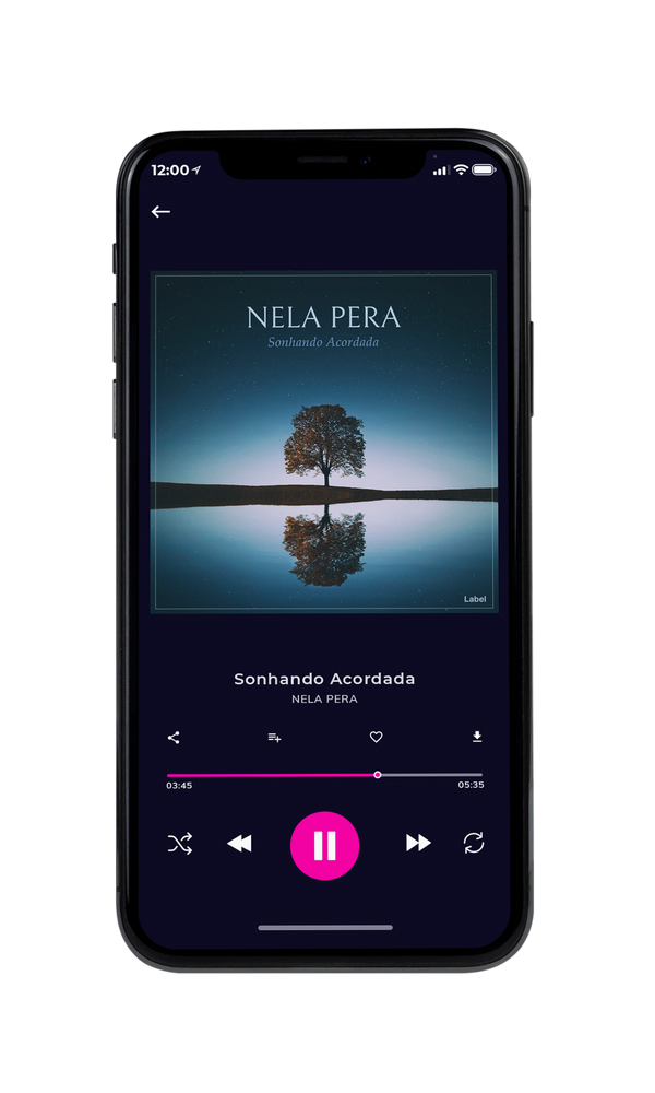 Tablet view of Premade Pop Album Cover - Pickled Bluewood #895 | AlbumArtZone*