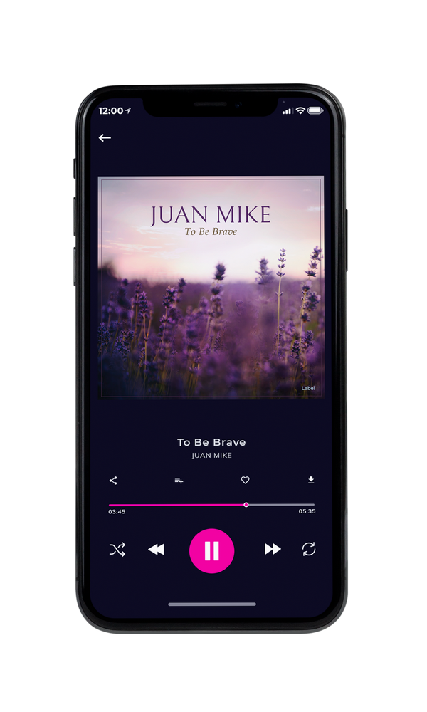 Tablet view of Premade Podcast Album Cover - Wafer #896 | AlbumArtZone*