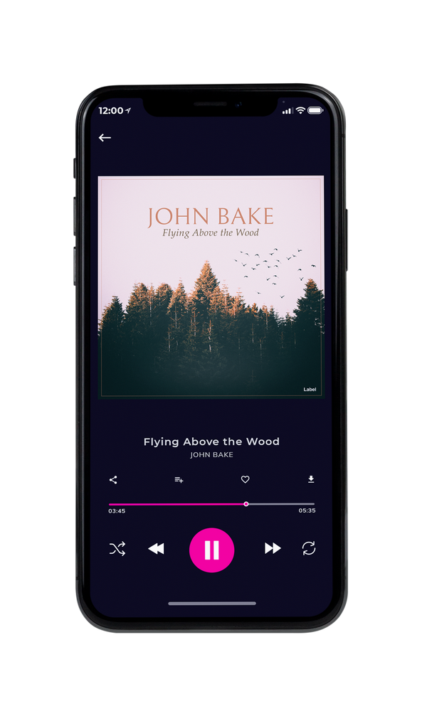 Tablet view of Premade Pop Album Cover - Bizarre #897 | AlbumArtZone*