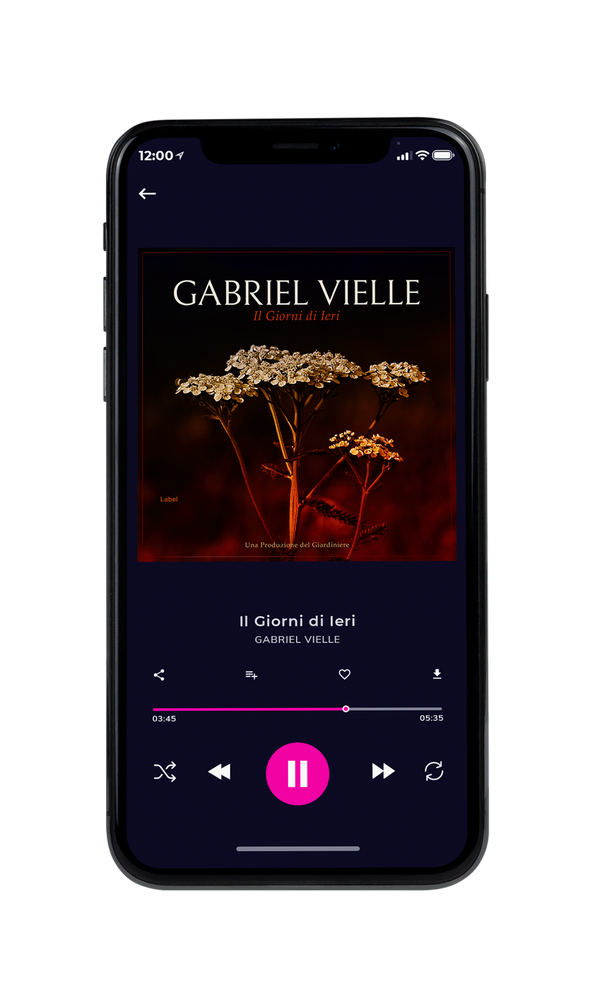 Tablet view of Premade Pop Album Cover - Creole #905 | AlbumArtZone*