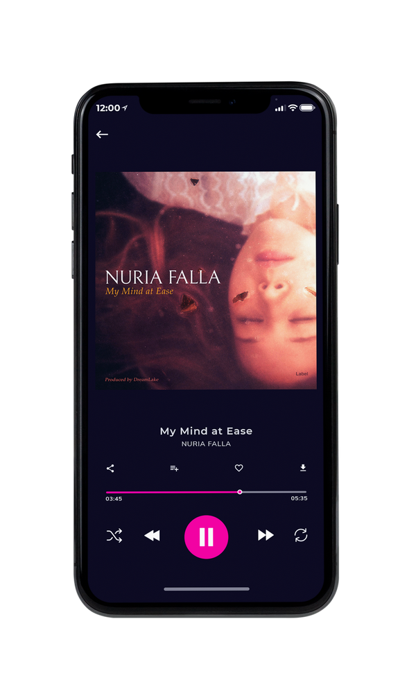 Tablet view of Premade Pop Album Cover - Livid Brown #906 | AlbumArtZone*
