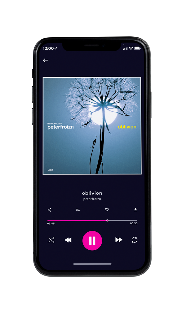 Tablet view of Premade Pop Album Cover - Bermuda Gray #916 | AlbumArtZone*
