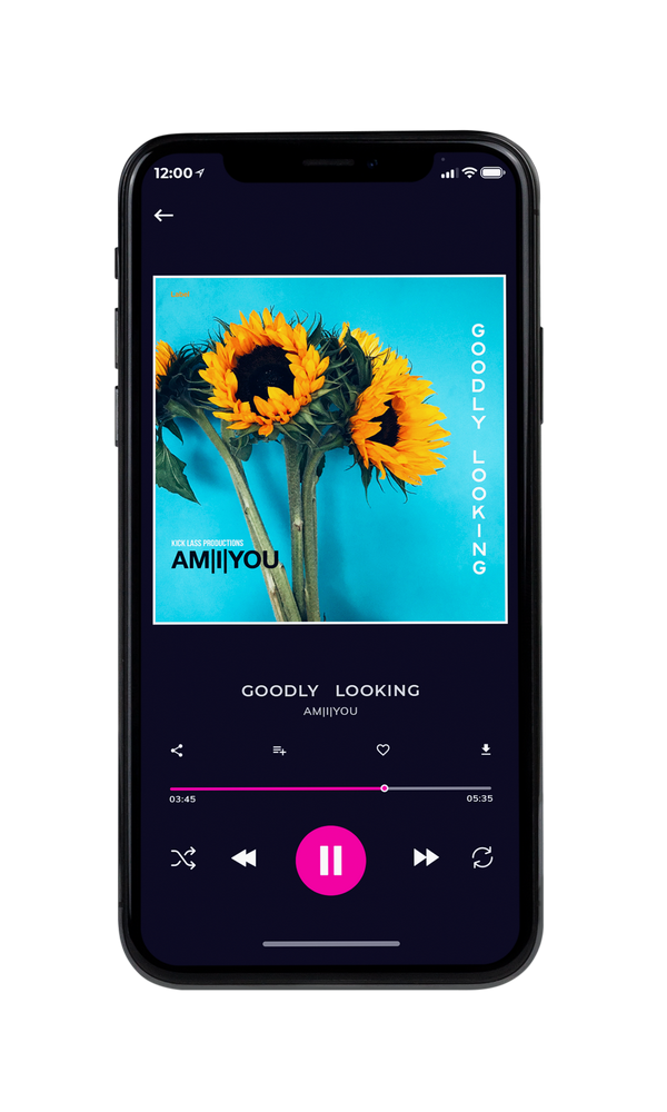 Tablet view of Premade Pop Album Cover - Viking #921 | AlbumArtZone*