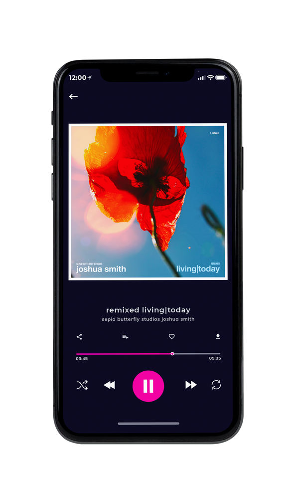 Tablet view of Premade Pop Album Cover - Horizon #926 | AlbumArtZone*