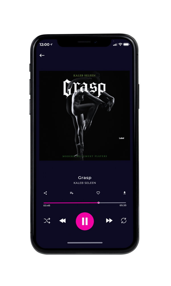 Tablet view of Premade Pop Album Cover - Cod Gray #959 | AlbumArtZone*
