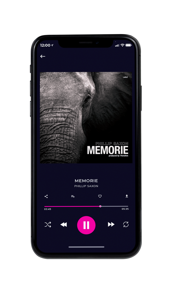 Tablet view of Premade Electronica & Ambient Album Cover - Tuatara #1103 | AlbumArtZone*