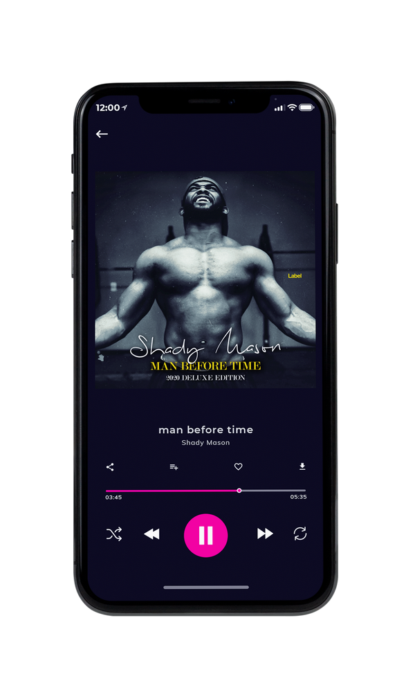 Tablet view of Premade Podcast Album Cover - Charade #1140 | AlbumArtZone*