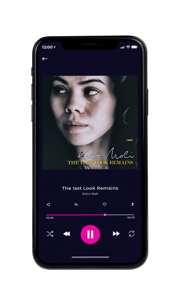 Tablet view of Premade Pop Album Cover - Silk #1142 | AlbumArtZone*
