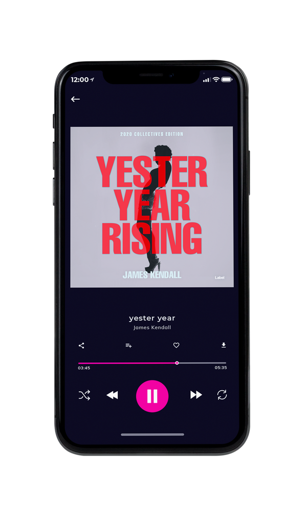 Tablet view of Premade Pop Album Cover - Gray Suit #1146 | AlbumArtZone*