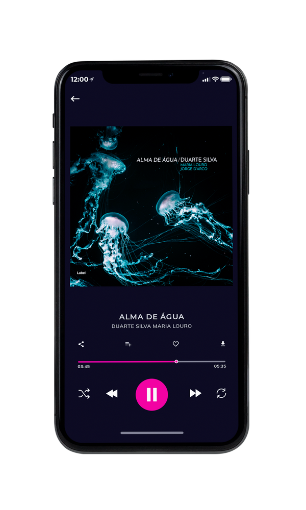 Tablet view of Premade Pop Album Cover - Black Bean #1208 | AlbumArtZone*
