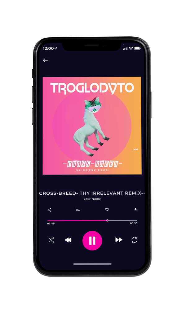 Tablet view of Premade Summer Hits Album Cover - Froly #1297 | AlbumArtZone*