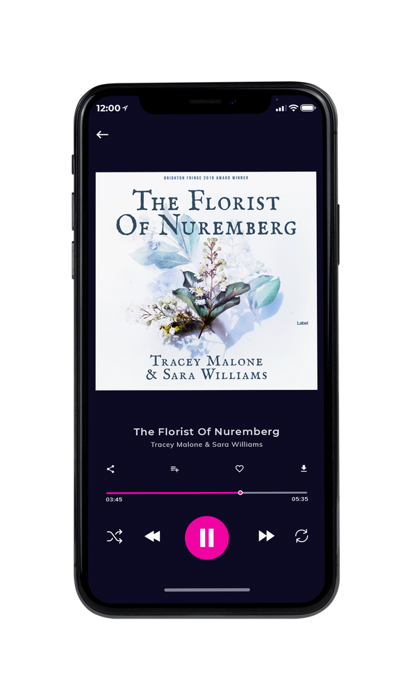 Tablet view of Premade Pop Album Cover - Athens Gray #1314 | AlbumArtZone*