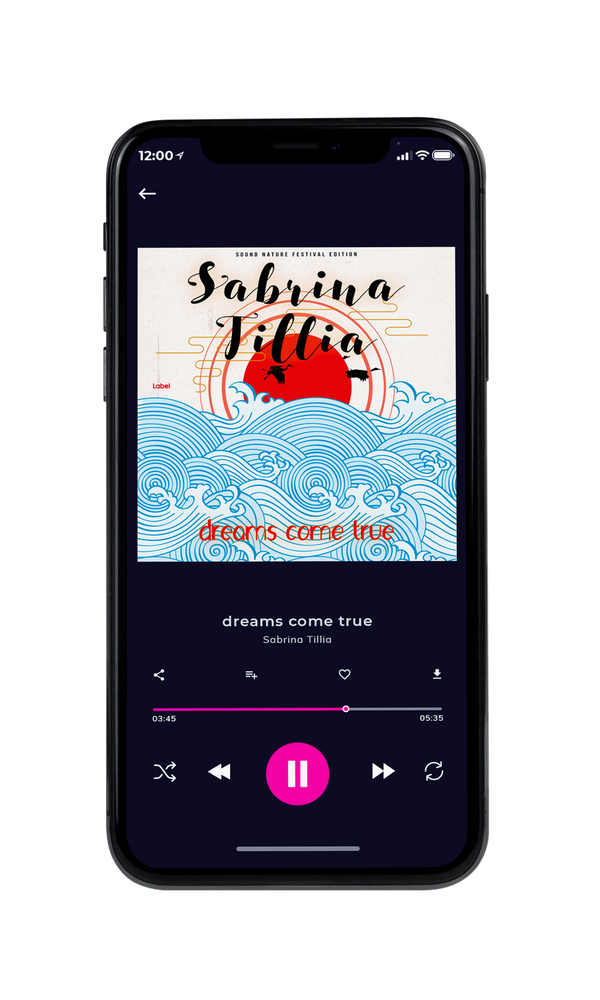 Tablet view of Premade Indie & Folk Music Album Cover - Matisse #1335 | AlbumArtZone*