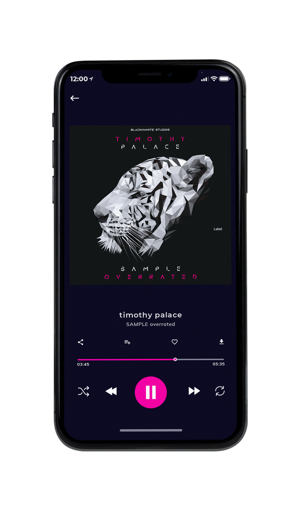 Tablet view of Premade Pop Album Cover - Pale Slate #1342 | AlbumArtZone*