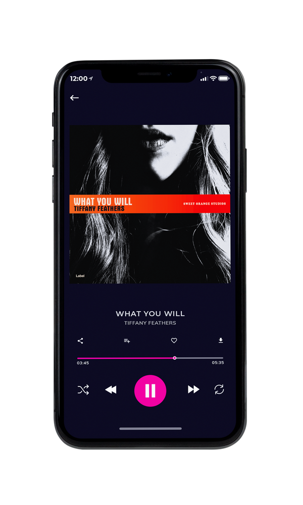 Tablet view of Premade Pop Album Cover - Cod Gray #1421 | AlbumArtZone*
