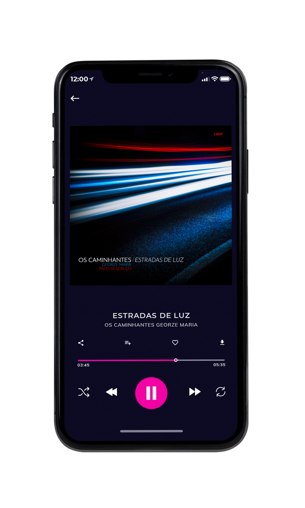 Tablet view of Premade Pop Album Cover - Ebony #1427 | AlbumArtZone*