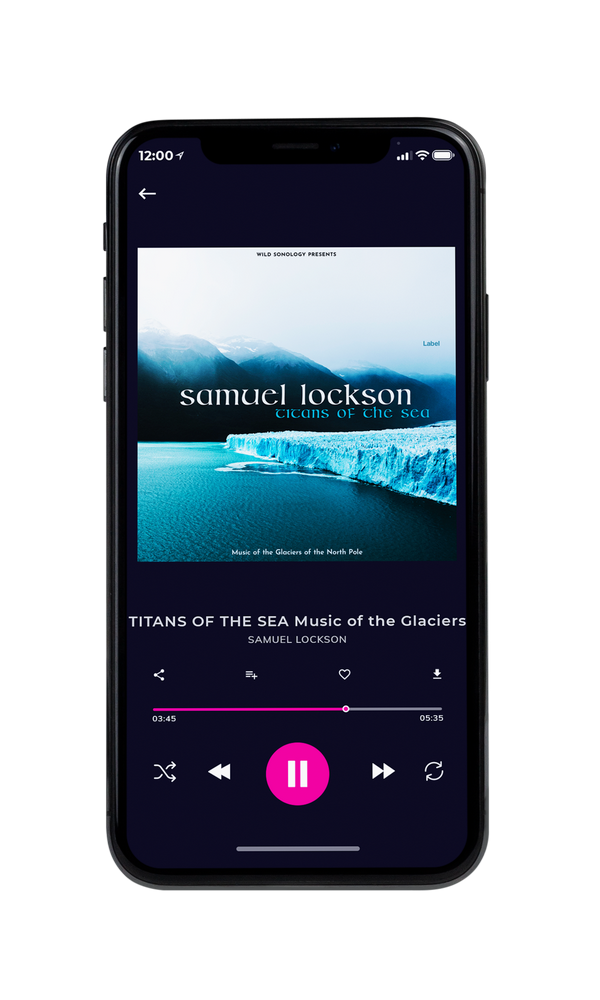 Tablet view of Premade Traditional Jazz & Blues Album Cover - Firefly #1518 | AlbumArtZone*