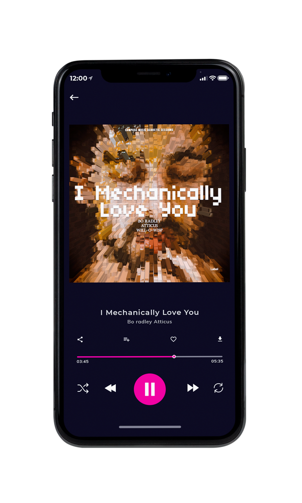 Tablet view of Premade Pop Album Cover - Cedar #1576 | AlbumArtZone*