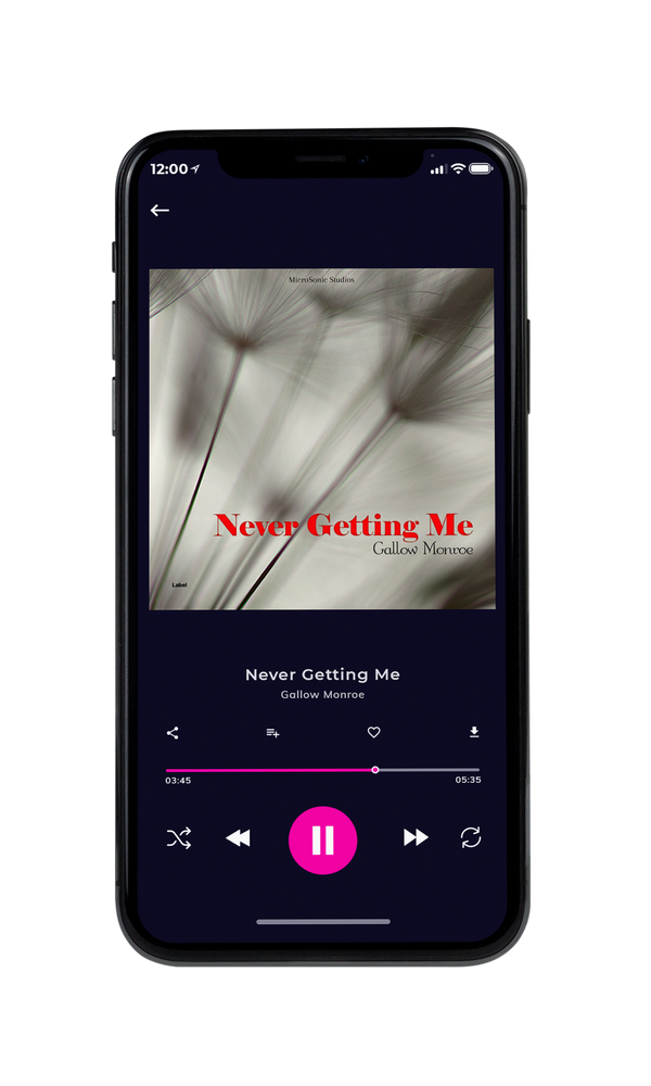 Tablet view of Premade Pop Album Cover - Taupe Gray #1788 | AlbumArtZone*