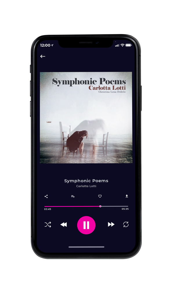 Tablet view of Premade Pop Album Cover - Quill Gray #1795 | AlbumArtZone*