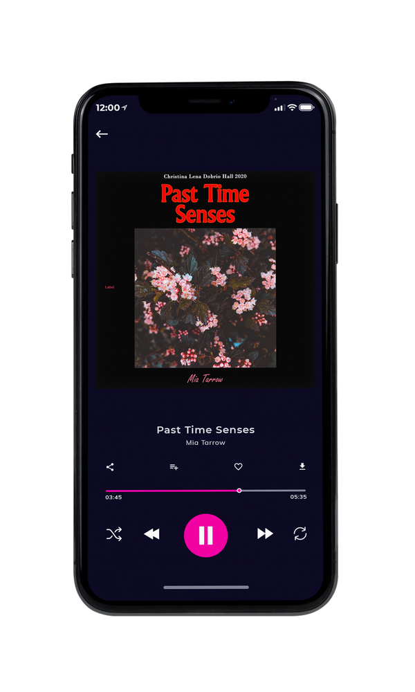Tablet view of Premade Pop Album Cover - Cod Gray #1805 | AlbumArtZone*